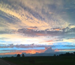 The Testicular Cancer Association